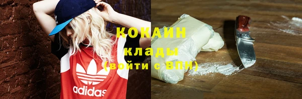 крисы Богданович