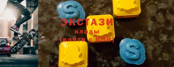крисы Богородицк