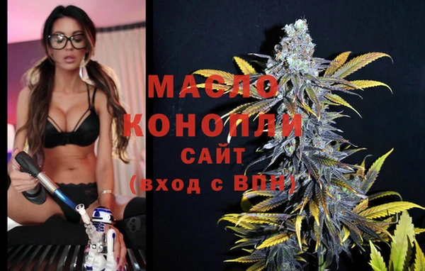 крисы Богородицк