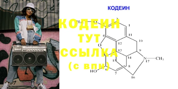 крисы Богородицк