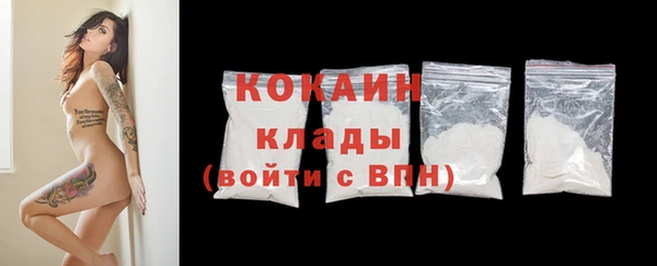крисы Богородицк