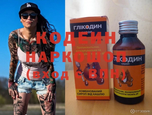 крисы Богородицк