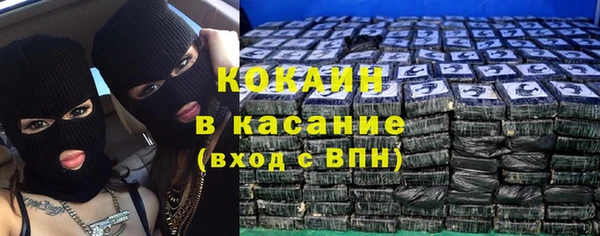 крисы Богородск