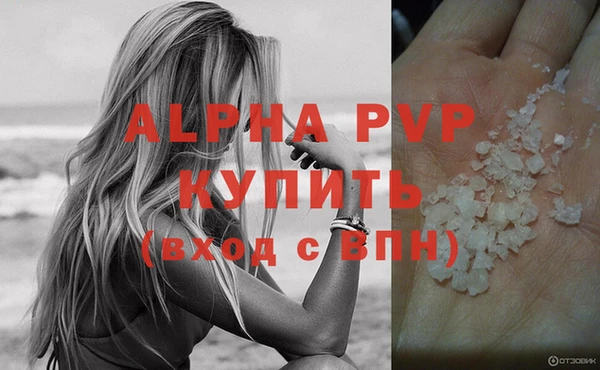 крисы Богородицк