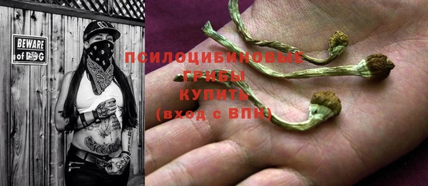 крисы Богданович
