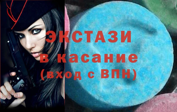 крисы Богородицк