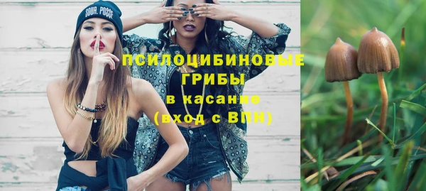 крисы Богородицк