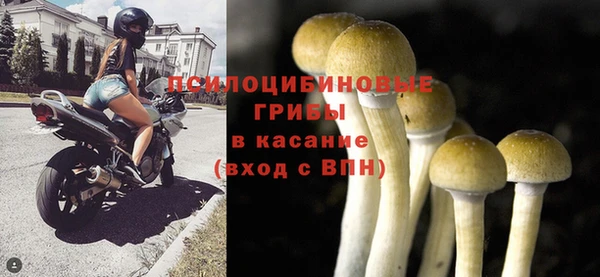 крисы Богородицк
