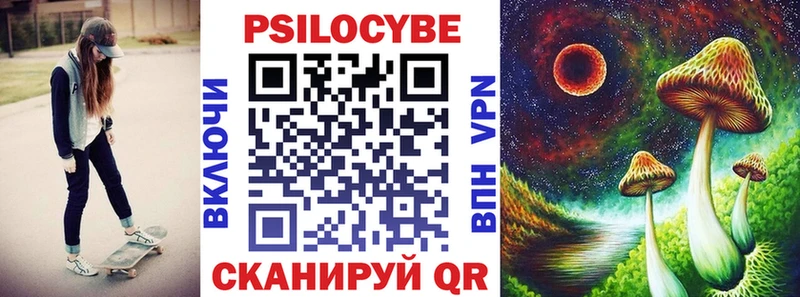 Купить закладки  Петушки  Псилоцибиновые грибы Cubensis 
